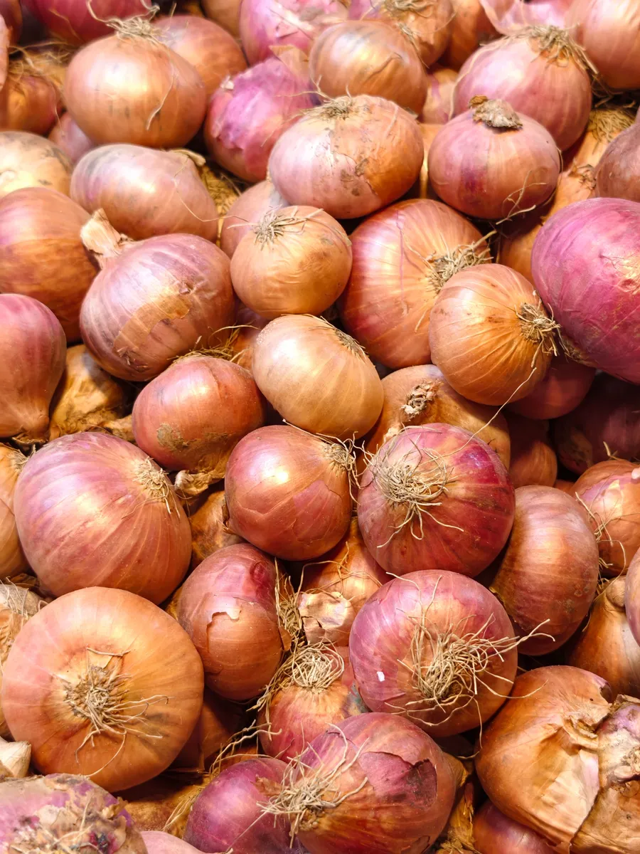 Bites de Aros de Cebolla
