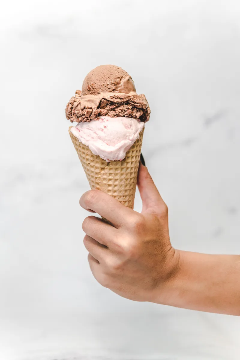 Paleta